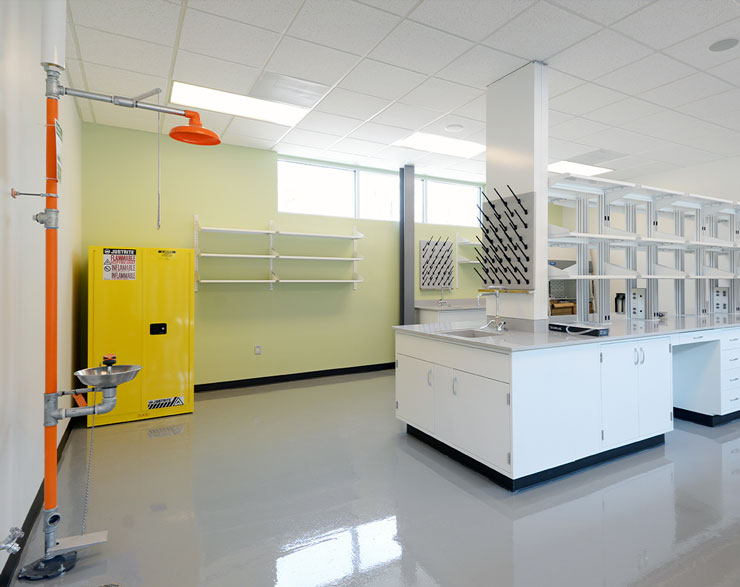 Bayer Bee lab space